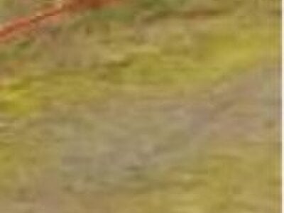 (値下げ) 青森県東津軽郡外ヶ浜町 三厩駅8分 土地 60万円の国有財産売却物件情報 #2