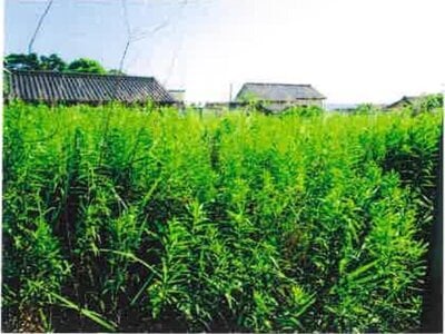 (値下げ) 千葉県鴨川市 安房天津駅14分 戸建て 604万円の競売物件情報 #4