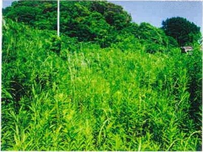 (値下げ) 千葉県鴨川市 安房天津駅14分 戸建て 604万円の競売物件情報 #6