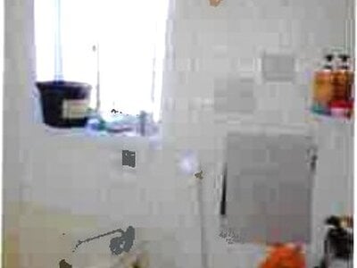 千葉県八街市 八街駅15分 戸建て 73万円の競売物件情報 #2