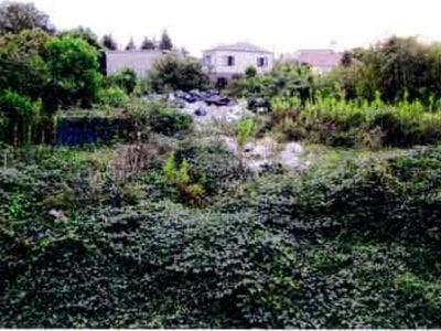 千葉県市原市 光風台駅20分 戸建て 761万円の競売物件情報 #4