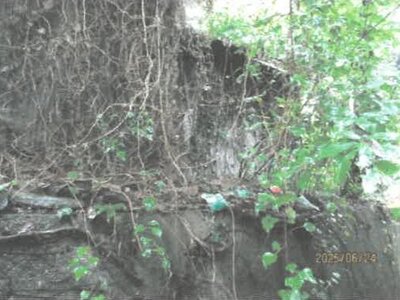 (値下げ) 徳島県吉野川市 阿波山川駅18分 戸建て 120万円の競売物件情報 #22