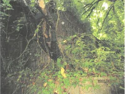 (値下げ) 徳島県吉野川市 阿波山川駅18分 戸建て 120万円の競売物件情報 #23