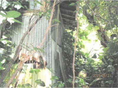 (値下げ) 徳島県吉野川市 阿波山川駅18分 戸建て 120万円の競売物件情報 #5