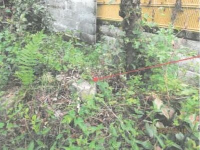 (値下げ) 徳島県板野郡上板町 板野駅 戸建て 193万円の競売物件情報 #19