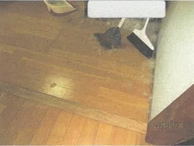 (値下げ) 徳島県徳島市 阿波富田駅 戸建て 88万円の競売物件情報 #14