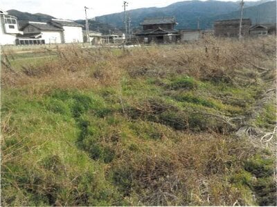 (値下げ) 徳島県吉野川市 阿波山川駅7分 農地 18万円の競売物件情報 #2