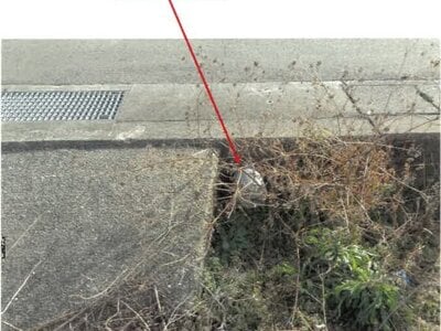 (値下げ) 徳島県吉野川市 阿波山川駅7分 農地 18万円の競売物件情報 #3