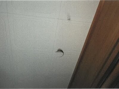 沖縄県島尻郡八重瀬町 戸建て 1,330万円の競売物件情報 #10