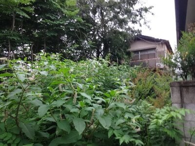 群馬県伊勢崎市 新伊勢崎駅6分 戸建て 743万円の官公庁公売物件情報 #3