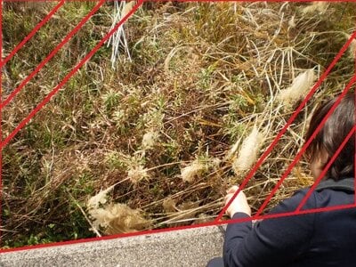 山口県柳井市 柳井港駅14分 土地 93万円の官公庁公売物件情報 #6