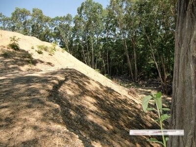 (値下げ) 兵庫県神戸市西区 木幡駅10分 土地 188万円の官公庁公売物件情報 #10