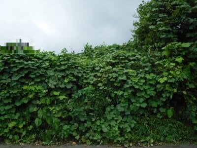 (値下げ) 群馬県桐生市 新川駅3分 土地 136万円の官公庁公売物件情報 #2