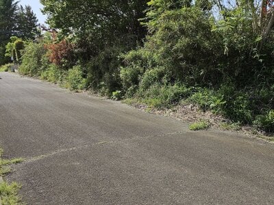 (値下げ) 群馬県桐生市 新川駅3分 土地 136万円の官公庁公売物件情報 #4