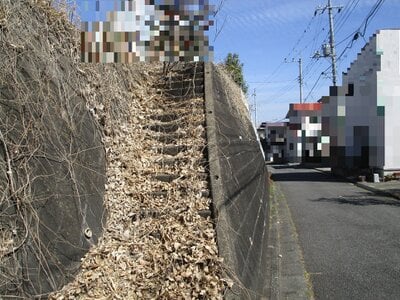 (値下げ) 群馬県高崎市 根小屋駅5分 土地 147万円の官公庁公売物件情報 #3