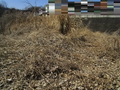 (値下げ) 群馬県高崎市 根小屋駅5分 土地 147万円の官公庁公売物件情報 #4