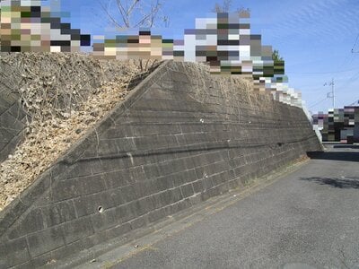 (値下げ) 群馬県高崎市 根小屋駅5分 土地 147万円の官公庁公売物件情報 #6