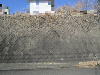 (値下げ) 群馬県高崎市 根小屋駅5分 土地 164万円の官公庁公売物件情報 #6