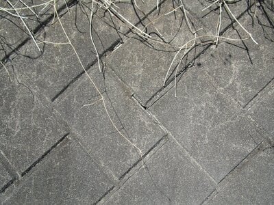 (値下げ) 群馬県高崎市 根小屋駅5分 土地 164万円の官公庁公売物件情報 #7