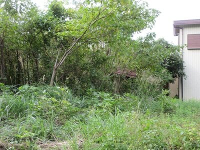 三重県いなべ市 麻生田駅15分 土地 126万円の官公庁公売物件情報 #4