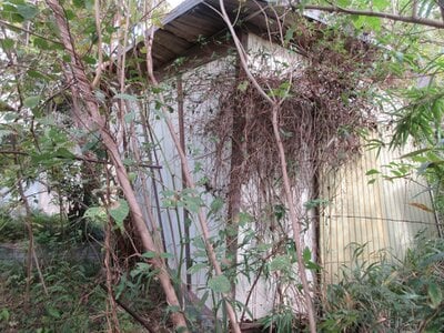 三重県いなべ市 麻生田駅15分 土地 126万円の官公庁公売物件情報 #5