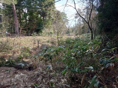 鳥取県西伯郡伯耆町 伯耆溝口駅 土地 278万円の官公庁公売物件情報 #4