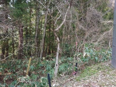 鳥取県西伯郡伯耆町 伯耆溝口駅 土地 278万円の官公庁公売物件情報 #6