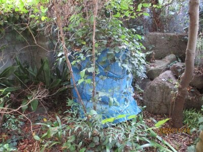 大分県別府市 亀川駅13分 戸建て 128万円の官公庁公売物件情報 #4