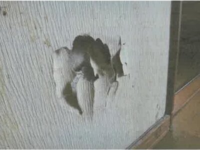 北海道旭川市 神楽岡駅5分 戸建て 363万円の競売物件情報 #18