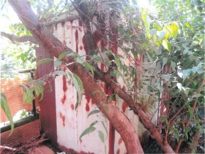 群馬県藤岡市 群馬藤岡駅24分 戸建て 219万円の競売物件情報 #8