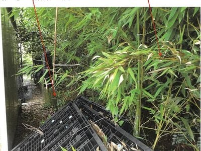 鹿児島県志布志市 志布志駅 土地 266万円の競売物件情報 #4