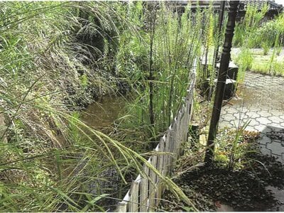 (値下げ) 鹿児島県曽於郡大崎町 戸建て 261万円の競売物件情報 #9