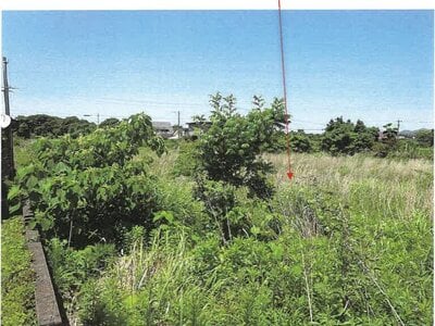 鹿児島県志布志市 志布志駅 農地 67万円の競売物件情報 #3