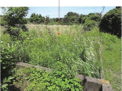 鹿児島県志布志市 志布志駅 農地 67万円の競売物件情報 #4