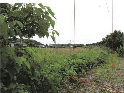 鹿児島県志布志市 志布志駅 農地 67万円の競売物件情報 #8