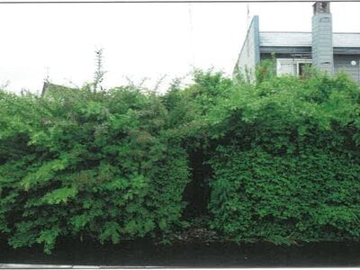 北海道上川郡新得町 新得駅10分 戸建て 30万円の競売物件情報 #18