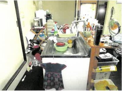 埼玉県蓮田市 伊奈中央駅 マンション 168万円の競売物件情報 #3