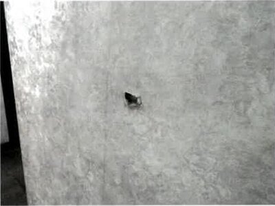 埼玉県さいたま市岩槻区 蓮田駅23分 マンション 289万円の競売物件情報 #8