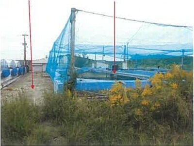 (値下げ) 熊本県八代市郡築十二番町 千丁駅 戸建て 1,853万円の競売物件情報 #15