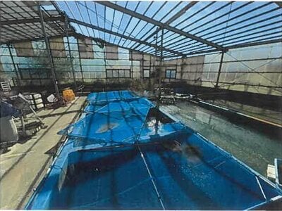 (値下げ) 熊本県八代市郡築十二番町 千丁駅 戸建て 1,853万円の競売物件情報 #43