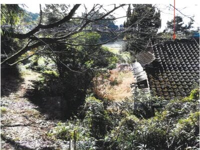 宮崎県串間市 日向北方駅19分 土地 19万円の競売物件情報 #3