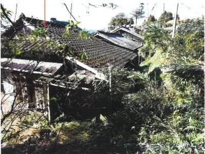 宮崎県串間市 日向北方駅19分 土地 19万円の競売物件情報 #4