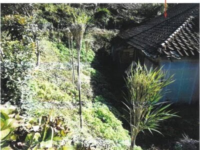 宮崎県串間市 日向北方駅19分 土地 19万円の競売物件情報 #5