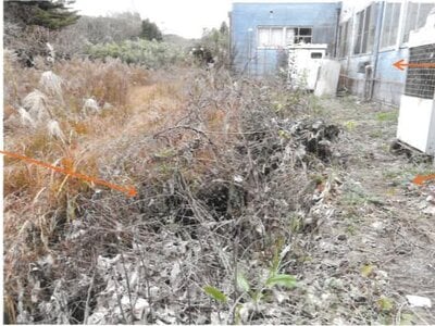 宮崎県日南市 榎原駅22分 戸建て 456万円の競売物件情報 #31