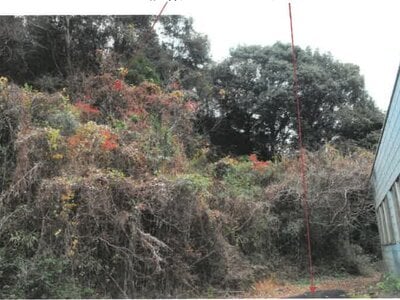 宮崎県日南市 榎原駅22分 戸建て 456万円の競売物件情報 #38