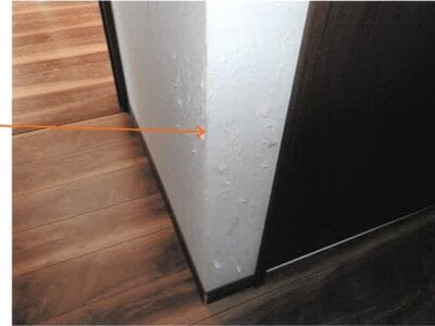 宮崎県都城市 五十市駅25分 戸建て 974万円の競売物件情報 #20