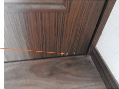 宮崎県都城市 五十市駅25分 戸建て 974万円の競売物件情報 #27