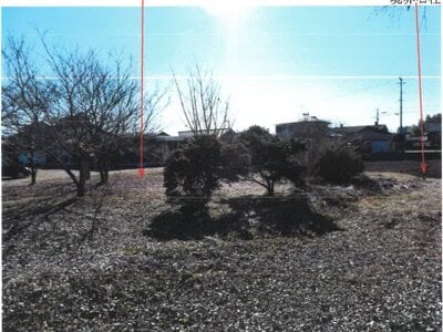 宮崎県都城市 五十市駅 農地 73万円の競売物件情報 #2