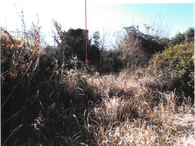 宮崎県都城市 五十市駅 戸建て 332万円の競売物件情報 #18