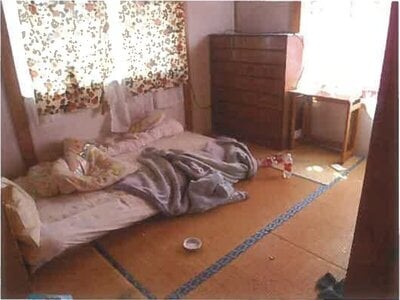 岩手県一関市 摺沢駅9分 戸建て 110万円の競売物件情報 #20